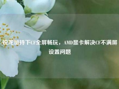 锐龙加持下CF全屏畅玩，AMD显卡解决CF不满屏设置问题