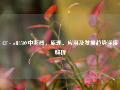 CF - wR850N中断器，原理、应用及发展趋势深度解析