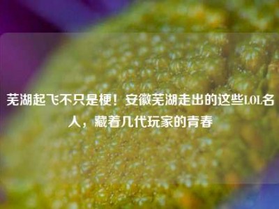 芜湖起飞不只是梗！安徽芜湖走出的这些LOL名人，藏着几代玩家的青春