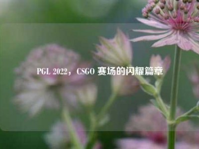 PGL 2022，CSGO 赛场的闪耀篇章