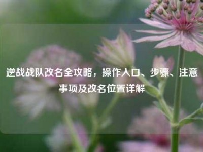 逆战战队改名全攻略，操作入口、步骤、注意事项及改名位置详解