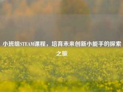 小班组STEAM课程，培育未来创新小能手的探索之旅