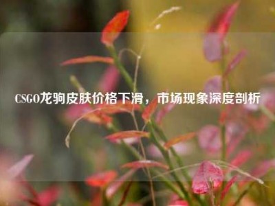 CSGO龙驹皮肤价格下滑，市场现象深度剖析