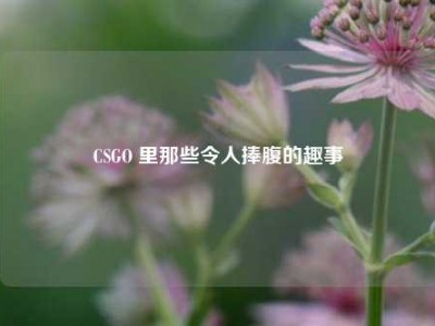 CSGO 里那些令人捧腹的趣事