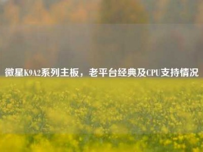 微星K9A2系列主板，老平台经典及CPU支持情况