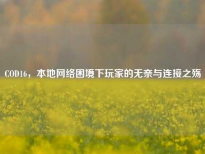 COD16，本地网络困境下玩家的无奈与连接之殇