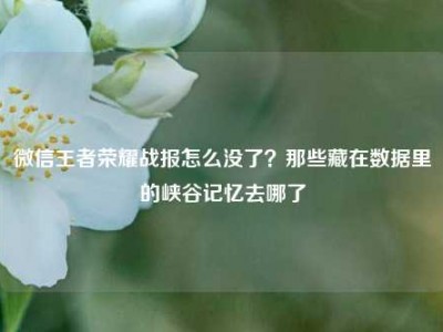 微信王者荣耀战报怎么没了？那些藏在数据里的峡谷记忆去哪了