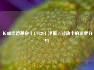 长盛同德基金（519039）净值，波动中的洞察分析