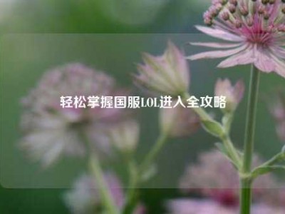 轻松掌握国服LOL进入全攻略