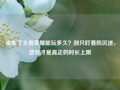 成年了王者荣耀能玩多久？别只盯着防沉迷，这些才是真正的时长上限