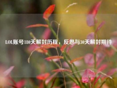 LOL账号180天解封历程，反思与30天解封期待
