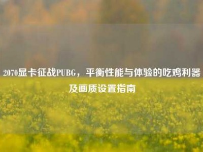 2070显卡征战PUBG，平衡性能与体验的吃鸡利器及画质设置指南