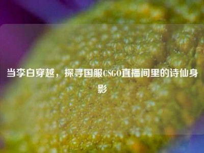 当李白穿越，探寻国服CSGO直播间里的诗仙身影