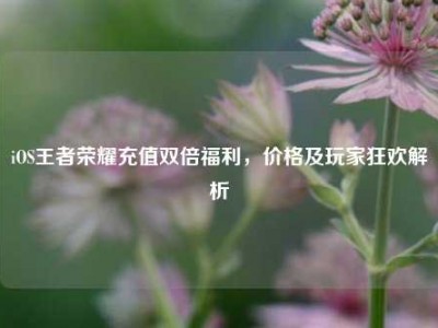 iOS王者荣耀充值双倍福利，价格及玩家狂欢解析