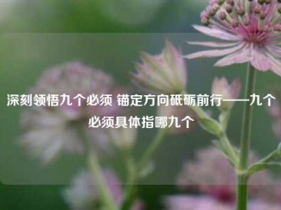 深刻领悟九个必须 锚定方向砥砺前行——九个必须具体指哪九个