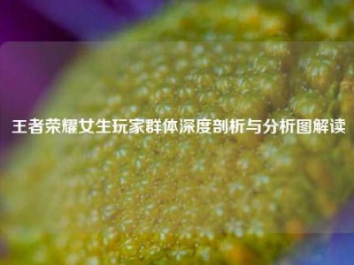 王者荣耀女生玩家群体深度剖析与分析图解读