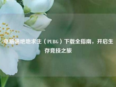 电脑端绝地求生（PUBG）下载全指南，开启生存竞技之旅
