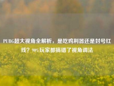 PUBG超大视角全解析，是吃鸡利器还是封号红线？90%玩家都搞错了视角调法