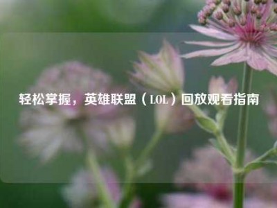 轻松掌握，英雄联盟（LOL）回放观看指南