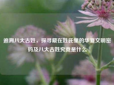 追溯八大古姓，探寻藏在姓氏里的华夏文明密码及八大古姓究竟是什么