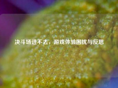 决斗场进不去，游戏体验困扰与反思