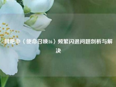 网吧中〈使命召唤16〉频繁闪退问题剖析与解决