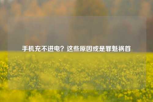 手机充不进电？这些原因或是罪魁祸首
