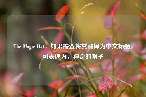 The Magic Hat，如果需要将其翻译为中文标题，可表述为，神奇的帽子