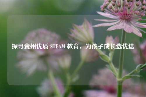 探寻贵州优质 STEAM 教育，为孩子成长选优途