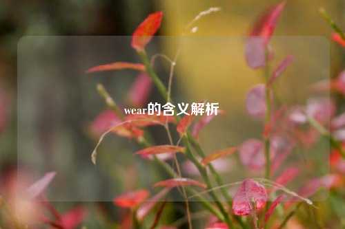 wear的含义解析