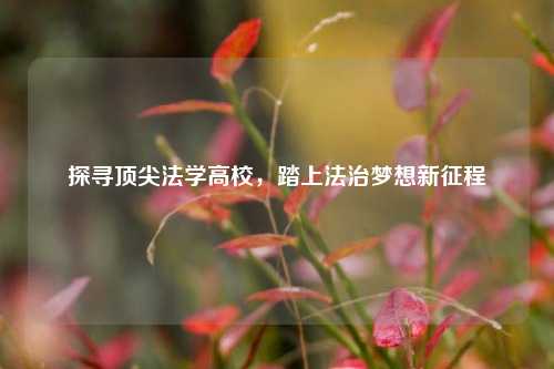 探寻顶尖法学高校，踏上法治梦想新征程