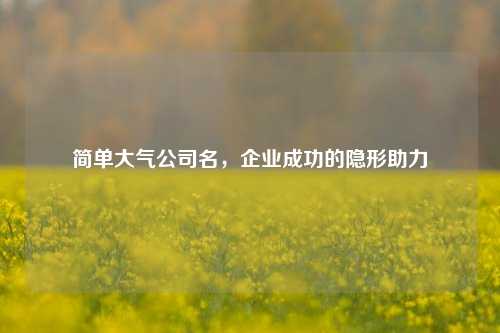 简单大气公司名，企业成功的隐形助力