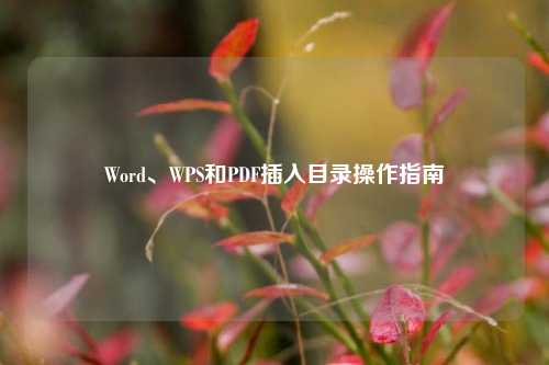 Word、WPS和PDF插入目录操作指南