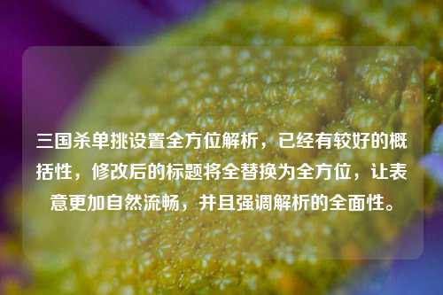 三国杀单挑设置全方位解析，已经有较好的概括性，修改后的标题将全替换为全方位，让表意更加自然流畅，并且强调解析的全面性。