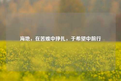 海地，在苦难中挣扎，于希望中前行