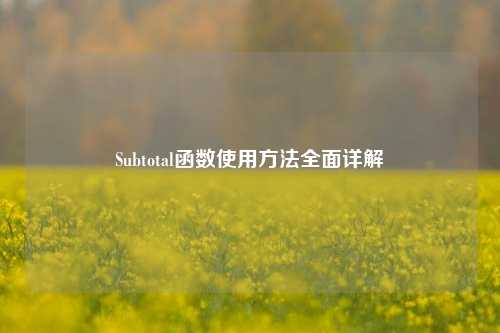 Subtotal函数使用方法全面详解