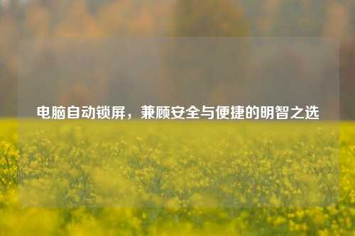 电脑自动锁屏，兼顾安全与便捷的明智之选