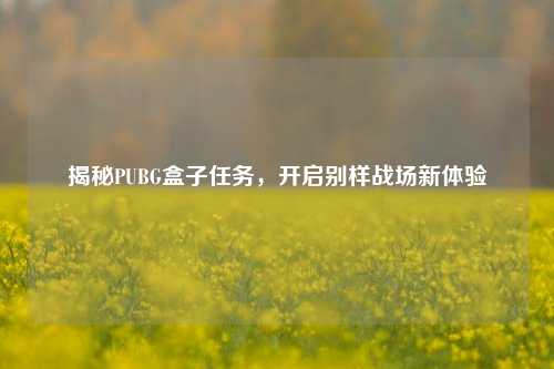 揭秘PUBG盒子任务,开启别样战场新体验