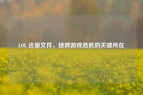 LOL 还原文件，拯救游戏危机的关键所在