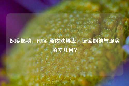 深度揭秘，PUBG 新皮肤爆率，玩家期待与现实落差几何？