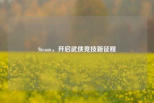 Steam，开启武侠竞技新征程