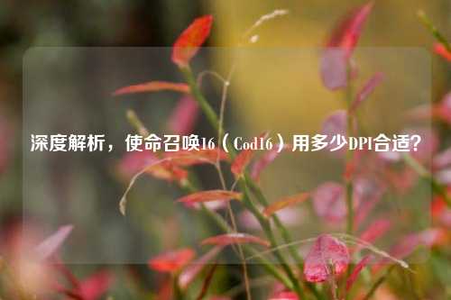 深度解析，使命召唤16（Cod16）用多少DPI合适？