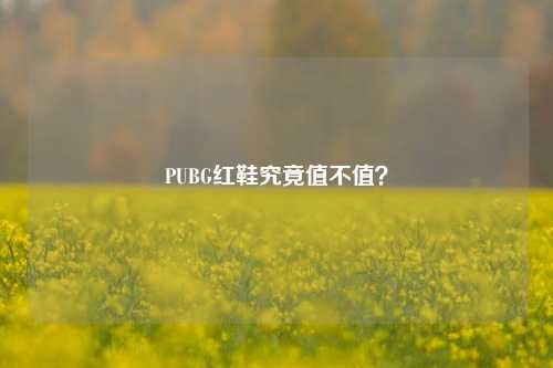 PUBG红鞋究竟值不值？