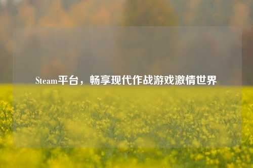 Steam平台，畅享现代作战游戏激情世界