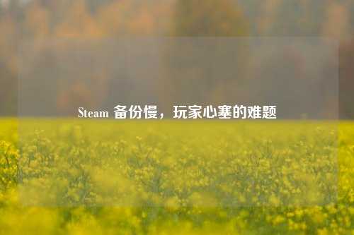 Steam 备份慢，玩家心塞的难题