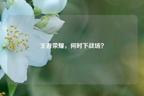 王者荣耀，何时下战场？