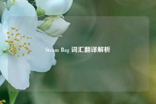 Steam Bag 词汇翻译解析