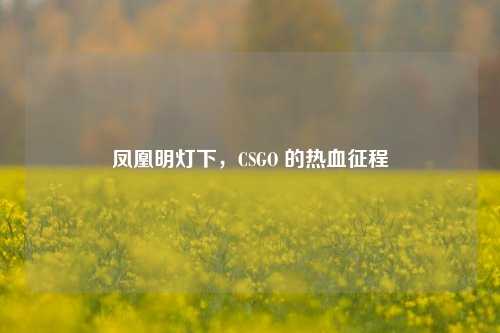 凤凰明灯下，CSGO 的热血征程