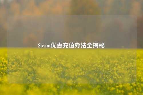 Steam优惠充值办法全揭秘
