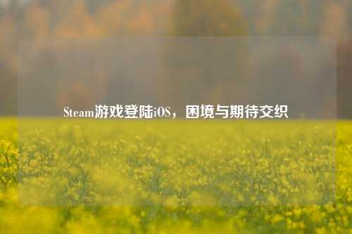 Steam游戏登陆iOS,困境与期待交织